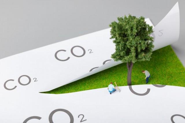 白城_2025年新澳天天开奖,防范概括请全面释义、解释与落实